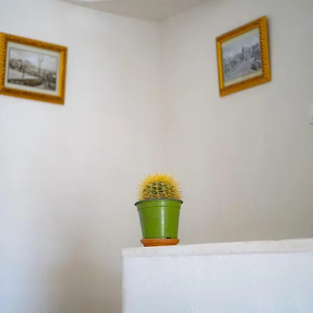 Casa Ulivo 펜션 오스투니